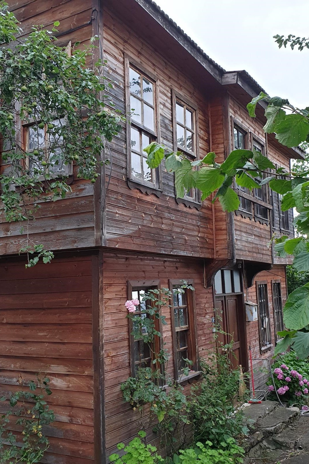 Proje Başlangıcı